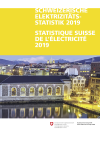 Schweizerische Elektrizitätsstatistik 2019