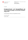 Energieverbrauch und Energieeffizienz der neuen Personenwagen und leichten Nutzfahrzeuge 2019