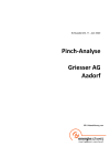 Pinch-Analyse - Griesser AG Aadorf