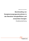 Benchmarking von Energieversorgungsunternehmen in den Bereichen Energieeffizienz und erneuerbare Energien