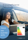 Energieeffiziente Fahrzeuge - Markttrends 2021