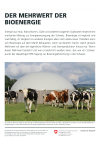 Der Mehrwert der Bioenergie