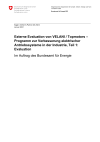 Externe Evaluation von VELANI / Topmotors – Programm zur Verbesserung elektrischer Antriebssysteme in der Industrie, Teil 1: Evaluation
