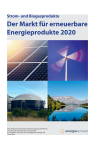 Strom- und Biogasprodukte - Der Markt für erneuerbare Energieprodukte 2020