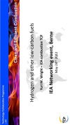 Hydrogen and other low-carbon fuels (Yuri M. Wright)
