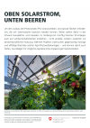 Oben Solarstrom, unten Beeren