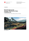 Beschleunigung des Ausbaus Thermischer Netze Projektbericht