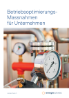 Betriebsoptimierungs-Massnahmen für Unternehmen