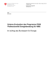 Externe Evaluation des Programms PEIK - Professionelle Energieberatung für KMU