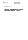 TEC-DBHE Techno-economics of closed-loop deep borehole-heat exchangers
