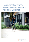 Betriebsoptimierungs-Massnahmen für Unternehmen: Mobilität