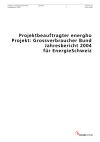 Projektbeauftragter energho. Projekt: Grossverbraucher Bund. Jahresbericht 2004 für EnergieSchweiz
