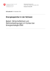 Energiespeicher in der Schweiz - Bedarf, Wirtschaftlichkeit und Rahmenbedingungen im Kontext der Energiestrategie 2050