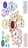 Programme-Level Stakeholder Mapping (figure)