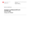 Transport von Wasserstoff durch Rohrleitungen - Analyse der Risiken