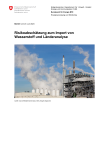 Risikoabschätzung zum Import von Wasserstoff und Länderanalyse