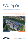 EVU-Apéro «Netzoptimierung und Netzflexibilität»