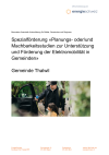 Spezialförderung «Planungs- oder/und Machbarkeitsstudien zur Unterstützung und Förderung der Elektromobilität in Gemeinden» - Gemeinde Thalwil
