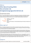 EVU-Benchmarking 2024: So schneiden die Energieversorgungsunternehmen ab