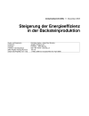 Steigerung der Energieeffizienz in der Backsteinproduktion. Zwischenbericht 2005