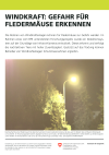 Windkraft: Gefahr für Fledermäuse erkennen