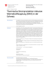 Thermische Stromproduktion inklusive Wärmekraftkopplung (WKK) in der Schweiz