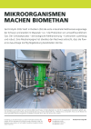 Mikroorganismen machen Biomethan