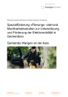 Spezialförderung «Planungs- oder/und Machbarkeitsstudien zur Unterstützung und Förderung der Elektromobilität in Gemeinden» - Gemeinde Wangen an der Aare