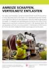 Anreize schaffen, Verteilnetz entlasten