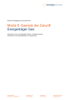 Modul 6: Gasnetz der Zukunft - Energieträger Gas