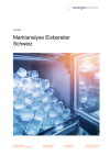 Marktanalyse Eisbereiter Schweiz