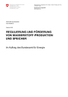 Regulierung und Förderung von Wasserstoff-Produktion und Speicher