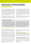 Factsheet Research Programme Bioenergy
