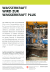 Wasserkraft wird zur Wasserkraft plus
