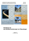 Richtlinien für das Notfallschutzkonzept von Stauanlagen (Version 1.0)