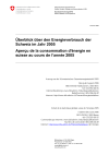 Überblick über den Energieverbrauch der Schweiz im Jahre 2005