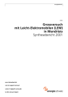 Grossversuch mit Leicht-Elektromobilen (LEM) in Mendrisio. Synthesebericht 2001
