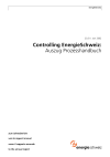 Controlling EnergieSchweiz: Auszug Prozesshandbuch