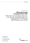Wirkungsanalyse EnergieSchweiz 2001