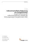 Volkswirtschaftliche Bedeutung von EnergieSchweiz