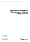Begleitende Evaluation der Wirkungsanalyse 2002 von EnergieSchweiz