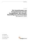 Die Auswirkungen von EnergieSchweiz auf den Energiebedarf, die Umwelt, Beschäftigung und Innovation. Jahresbericht 2002