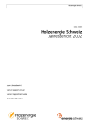 Holzenergie Schweiz. Jahresbericht 2002