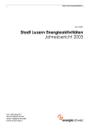 Stadt Luzern Energieaktivitäten. Jahresbericht 2003