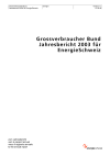 Grossverbraucher Bund. Jahresbericht 2003 für EnergieSchweiz