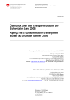 Überblick über den Energieverbrauch der Schweiz im Jahre 2006
