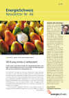 EnergieSchweiz Newsletter Nr. 46