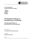 Fokusgruppen-Erhebung zur Kennzeichnung von Elektrizität