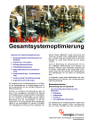 Infoblatt Gesamtsystemoptimierung