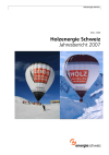 Holzenergie Schweiz. Jahresbericht 2007